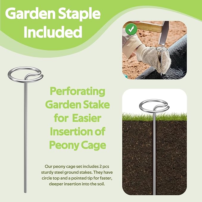 8 Pack Peony Cages and Supports - Grow Through Plant Support for Outdoor Plants - Sturdy Metal Support Frame for Peonies, Roses Flower Garden Cage - Wide Top Rings Bouquet Shape 12" D x 16" H