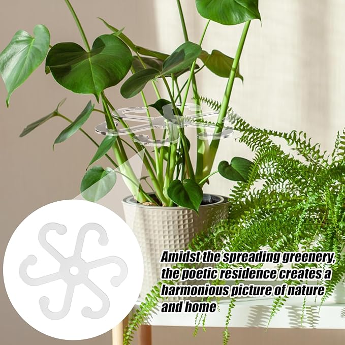 BOXOB 6pcs Climbing Plant Stem Supports, 2 Sizes Acrylic Houseplant Stem Holder with Holes Reusable Plant Stand Stakes Trellis Stem Hook Growth Accessories for Plants (Transparent)