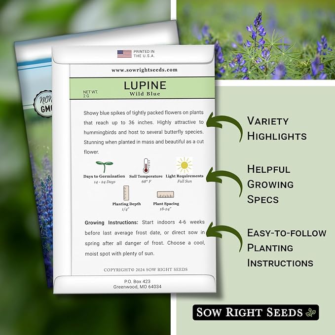 Sow Right Seeds - Wild Blue Lupine Seeds for Planting - Non-GMO Heirloom Perennial - Easy to Grow - Beautiful Purple Flowers for Gardens and Landscapes - Ideal for Bee and Butterfly Attraction (3)