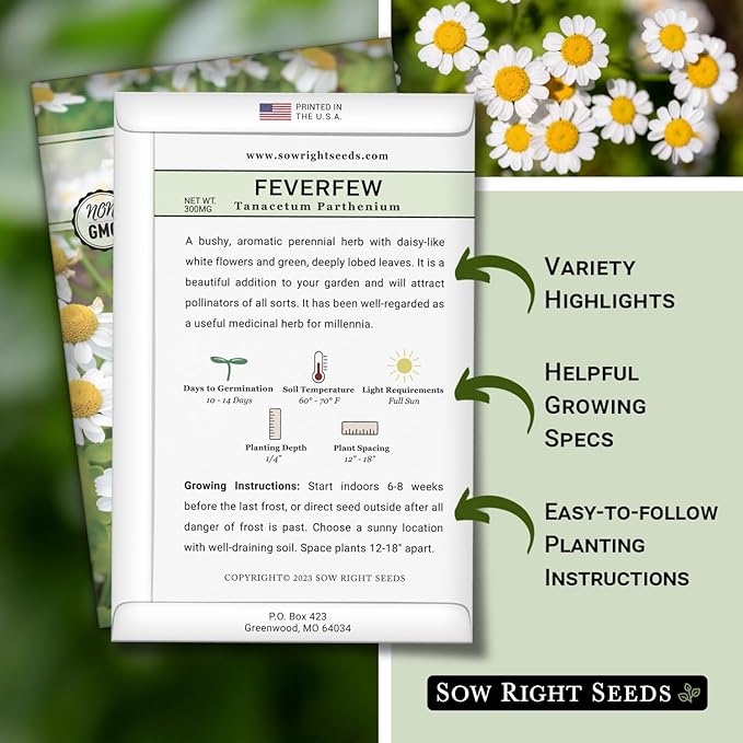 Sow Right Seeds - Feverfew Seeds for Planting - Non-GMO Heirloom Packet with Instructions to Plant an Outdoor or Indoor Herb Garden - Traditional Medicinal Herb, Make Tea & Extract for Migraines (4)