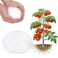 2LB Calcium Nitrate Fertilizer, 15-0-0 Nitrogen Fertilizer with Calcium, Indoor Plant Fertilizer, Plant Food for Houseplants, Lawn, Vegetable, Trees, Boost Stem & Leaf Growth, Improves Root Health