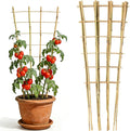 3 Pack 4.8 Feet Natural Bamboo Trellis for Climbing Plants Outdoor, Oltara Fan-Shaped Plant Support Trellis for Potted Climbing Plants, Vegetables, Cucumbers, Tomatoes