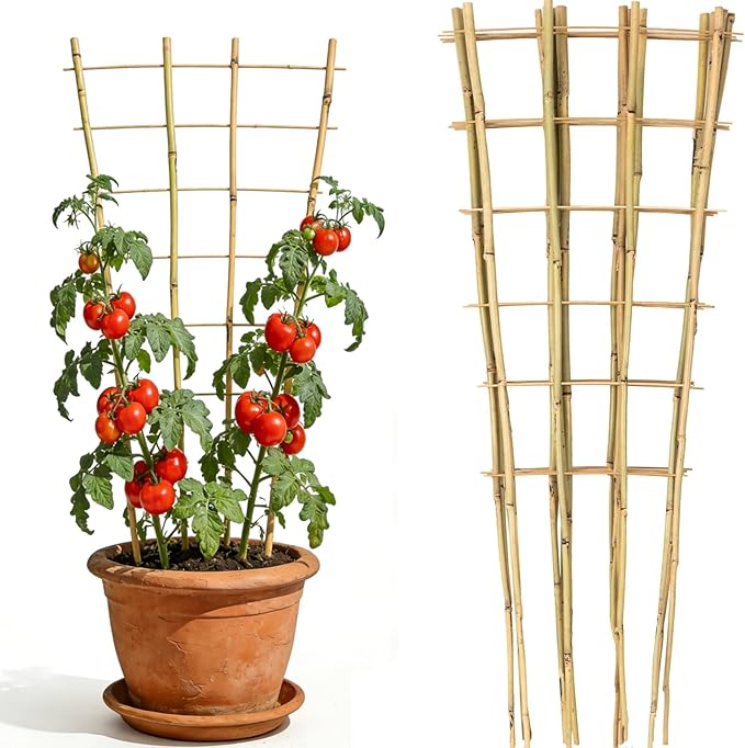 3 Pack 4.8 Feet Natural Bamboo Trellis for Climbing Plants Outdoor, Oltara Fan-Shaped Plant Support Trellis for Potted Climbing Plants, Vegetables, Cucumbers, Tomatoes
