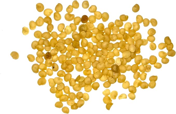 Seed Needs Tomatillo Seeds for Planting Grande Rio Verde Tomatillos - Non-GMO Heirloom & Untreated - Grow a Home Grown Outdoor Vegetable Garden - Great for Salsa & Mexican Cuisine (1 Pack)