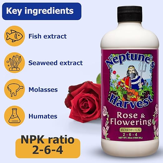 Neptune's Harvest Organic Plant Fertilizer | Liquid Fertilizer for Lawn, Garden & Houseplant | Rich in Essential Nutrients | Rose & Flowering 2-4-2 (Quart) + Fish & Seaweed Plant Food 2-6-4 (Quart)