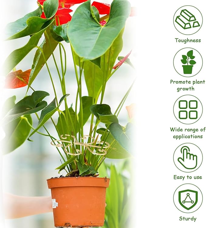 5 Pcs Plant Stem Support, Iron Monstera Plant Support, Durable Hook Stem Supports for Healthy Growth, Bamboo Clamp Set for Leaf Stabilization and Support, Ideal Present for Plant Lovers (6.5IN*6.5IN)