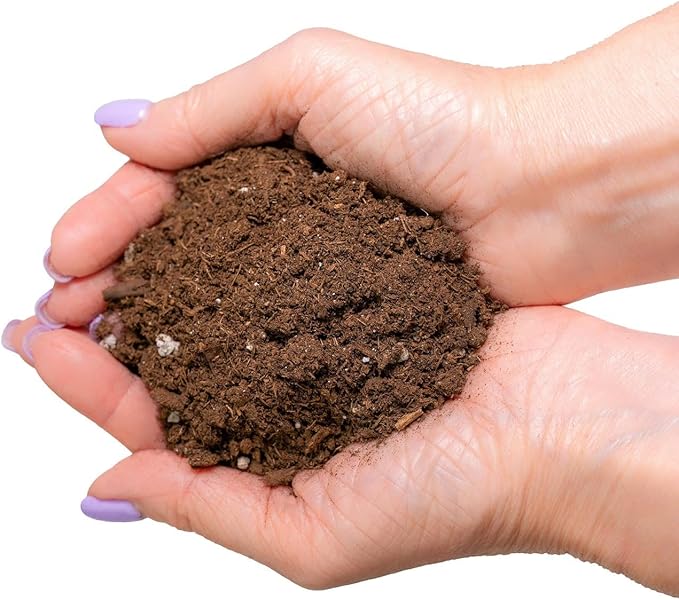 Gardenera's Premium Pomelo Tree Soil Mix - Quick Drain Potting Soil for Growing and Repotting Citrus Maxima - 2 Quart