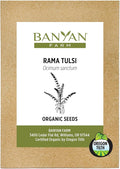 Banyan Botanicals Organic Rama Tulsi Seeds – Ocimum Sanctum – Tulsi (Holy Basil) Seeds for Tea, Cooking & Herbal Formulas – 50 Count – Open Pollinated Non-GMO Easy to Grow