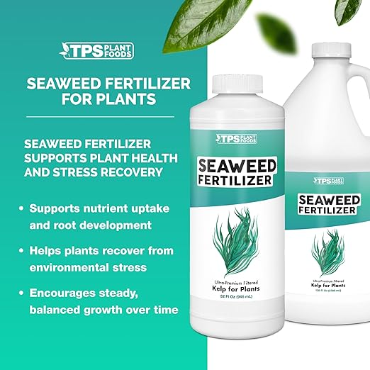 Seaweed Fertilizer – Organic Kelp Plant Food for All Plants, Boosts Nutrient Uptake for a Lush, Vibrant Garden, 32 oz