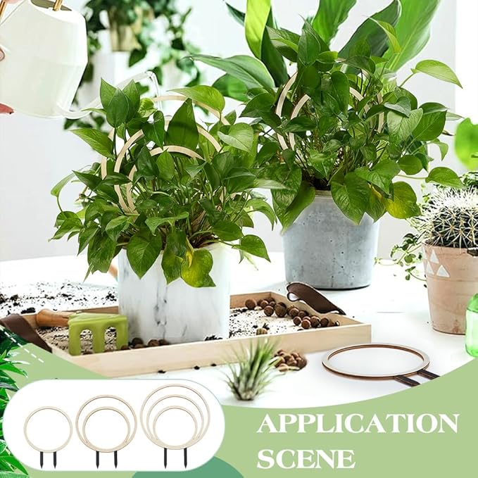FINGERINSPIRE 3 PCS Circle Indoor Plant Trellises 3 Sizes Floral White Wooden Houseplant Trellis for Indoor Climbing Plants Round Garden Trellis Plant Support for Ivy Flowers Outdoor Potted Plants
