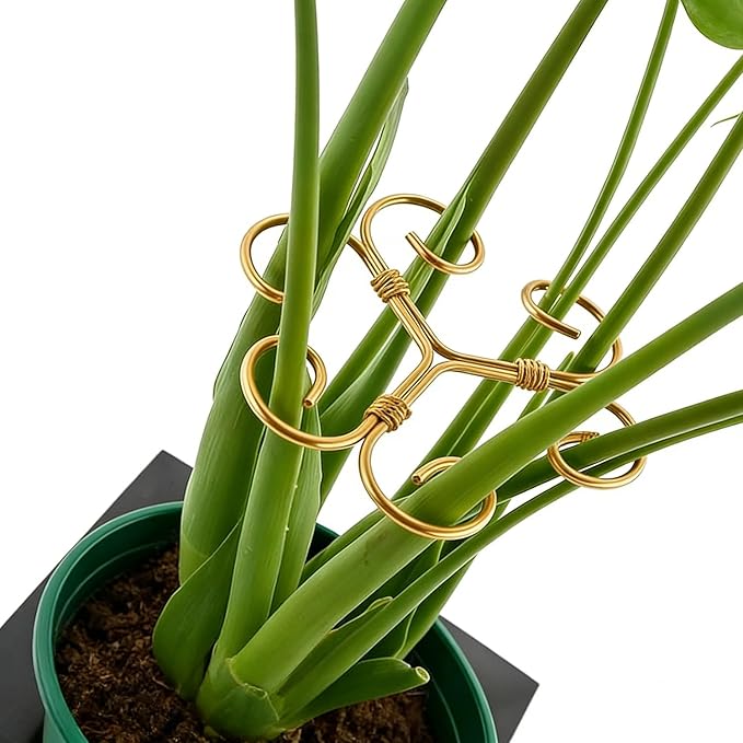 YAPROMO 4PCS Iron Monstera Plant Support- Plant Stakes for Indoor Plants, 4.1IN Plant stem Support, Prevents Falling for Turtle Shell Bamboo & Houseplants