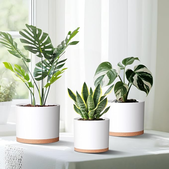 10/9/8 Inch Large Plant Pots with Drainage Holes and Trays, 3 Pack Modern Minimalist Cylinder Planters for Monstera, Snake Plant, Indoor Outdoor (Matte White & Brown)