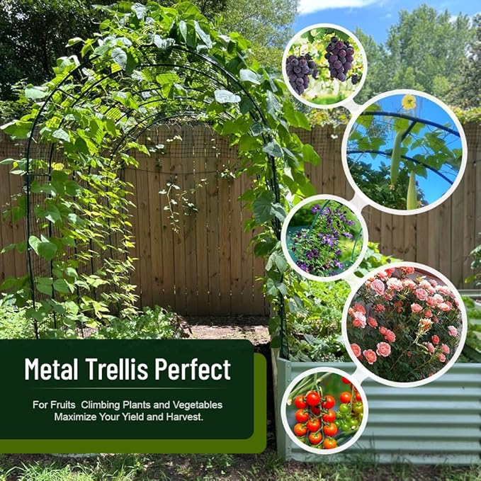 2PCS Wedding Garden Arch Stand,7.9Ft Metal Outdoor Indoor Garden Arbors Stand for Climbing Plant Wedding Christmas Party Decoration (Green-2PCS)
