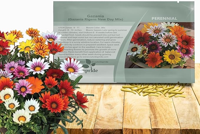 Outsidepride New Day Mixed Gazania Seeds for Planting – 50 Pcs Perennial, Low-Maintenance, Drought-Tolerant Ground Cover Seeds for Vibrant Summer & Fall Flowers, Great for Outdoor Gardens