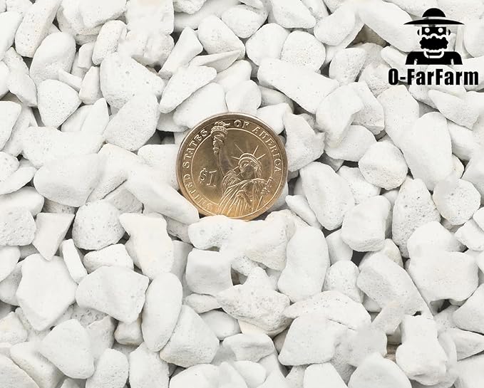 Chunky Perlite Bulk, Horticultural Pearlite Coarse Perlite for Plants Indoor, Additive Conditioner Mix, Improve Drainage and Ventilation, Help Root Growth (5-10mm, 2qt)