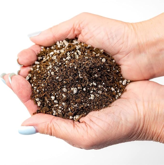 GARDENERA Premium Organic Potting Soil for Onions - (3 Quart Bag)