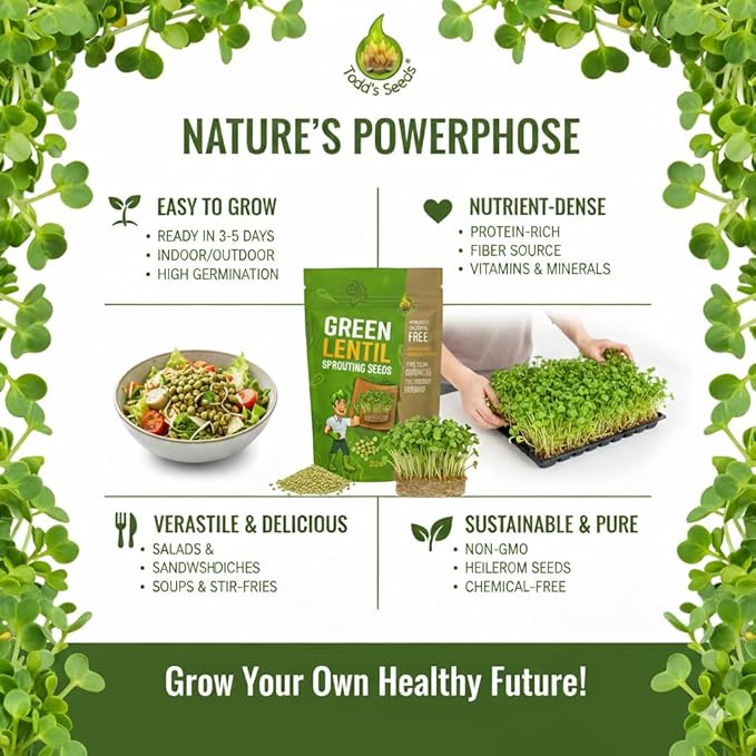 Todd's Seeds Sprouting Green Lentil Seeds, Heirloom, Non-GMO, Chemical Free, High Germinating (One Pound)