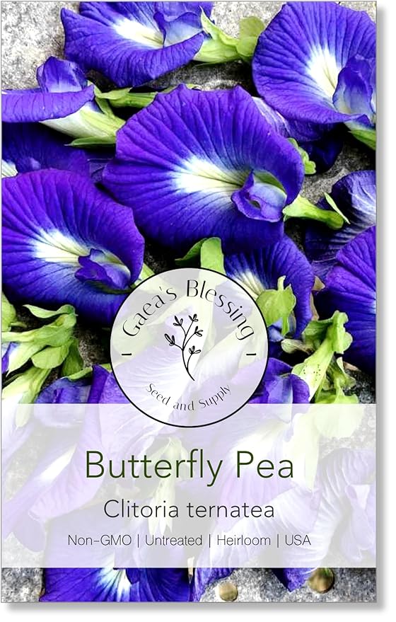 Gaea's Blessing Seeds - Butterfly Pea Seeds - Asian Pigeonwings - Non-GMO, Open-Pollianted, and Untreated - Includes Easy to Follow Planting Instructions (Clitoria ternatea)