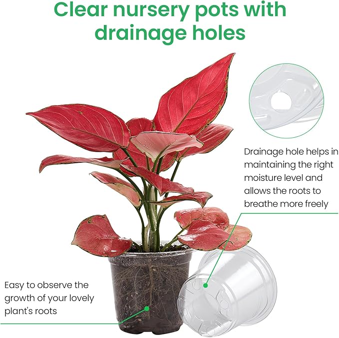 30 Packs 6.7/5/4 Inch Reinforced Clear Nursery Pots with Drainage Hole, Transparent Variety Pack Plastic Plant Pot Seedling Planter for Vegetable Propagation, Root Cutting, Seed Starting