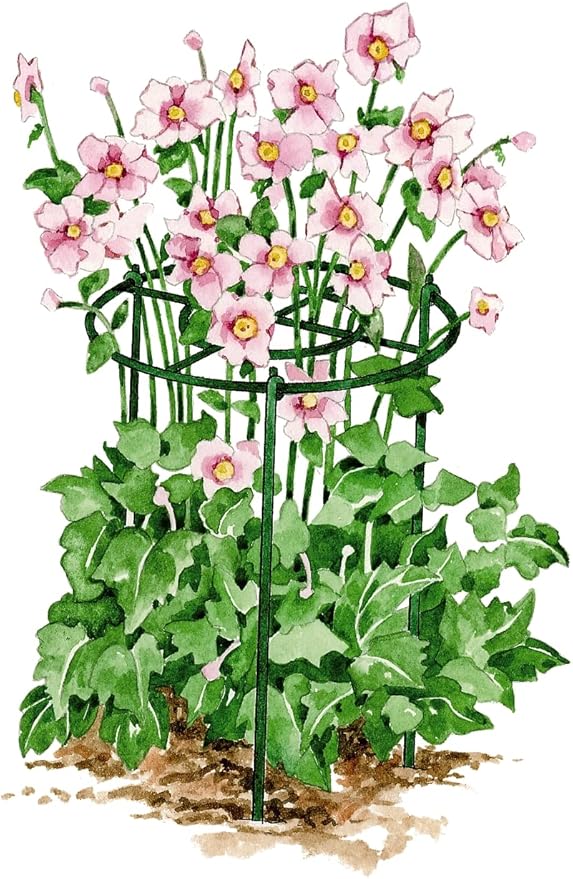 Gardener's Supply Company Grow Through Plant Support | Sturdy Metal Plants Support Frame for Peonies and Other Flopping Flowers | 30" H X 24" D (Set of 3) - Large