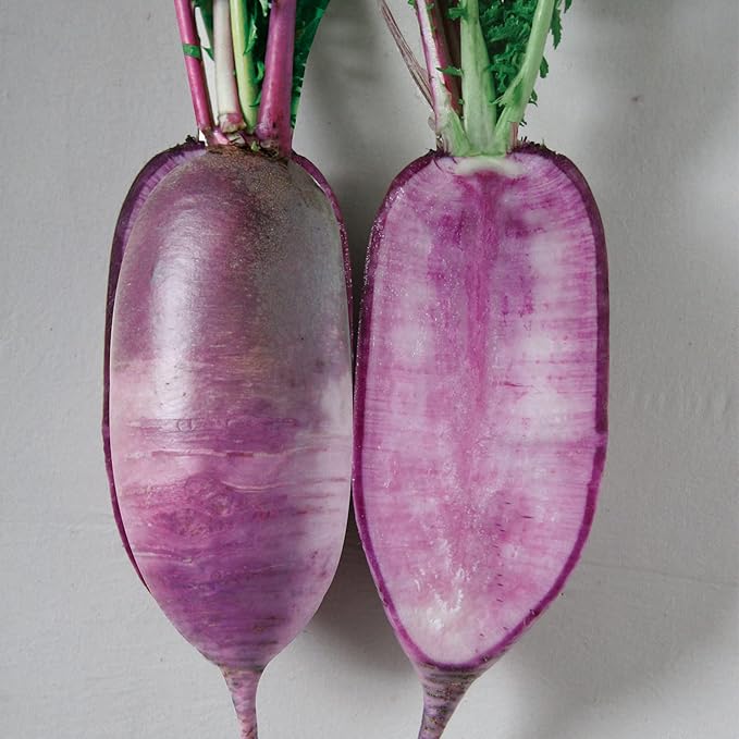 Radish Seeds - Korean - Bora King - Hybrid - 1 g Packet ~100 Seeds - Non-GMO, F1 Hybrid - Asian Garden Vegetable