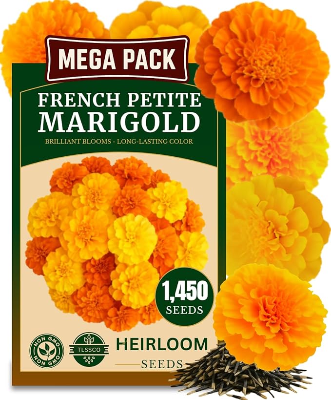 1450+ French Petite Marigold Seeds, Pack for 2026 USA Premium Non-GMO Flower Seeds for Planting Outdoors AKA. Tagetes patula Easy to Grow Heirloom Seeds