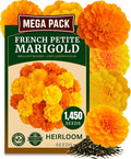 1450+ French Petite Marigold Seeds, Pack for 2026 USA Premium Non-GMO Flower Seeds for Planting Outdoors AKA. Tagetes patula Easy to Grow Heirloom Seeds