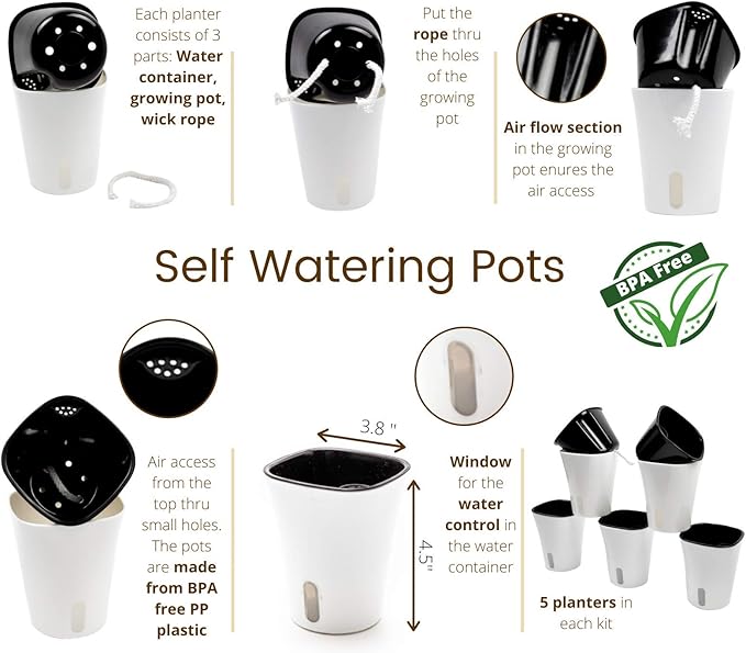 5 Herb Garden Kit Indoor - Kitchen Windowsill Self Watering Herb Garden Kit Indoor Starter Set Grow Organic Seeds Basil, Cilantro, Chives, Thyme, Lemon Balm (Melissa)