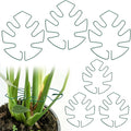 Hysagtek 6PCS Monstera Plant Support, Plant Stem Support Durable Monstera Stabilizer Grapple Holder, Turtle Shell Bamboo Clamp Set, Ideal Plant Support for Thriving Growth