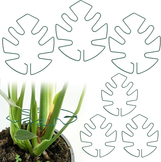 Hysagtek 6PCS Monstera Plant Support, Plant Stem Support Durable Monstera Stabilizer Grapple Holder, Turtle Shell Bamboo Clamp Set, Ideal Plant Support for Thriving Growth
