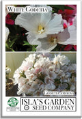 White Godetia Flower Seeds (Clarkia Amoena) – 1500+ Non-GMO Heirloom Seeds, by Isla’s Garden Seeds, Perfect for Planting in Home Gardens, Easy to Grow, Pure White Blooms, Great Gardening Gift