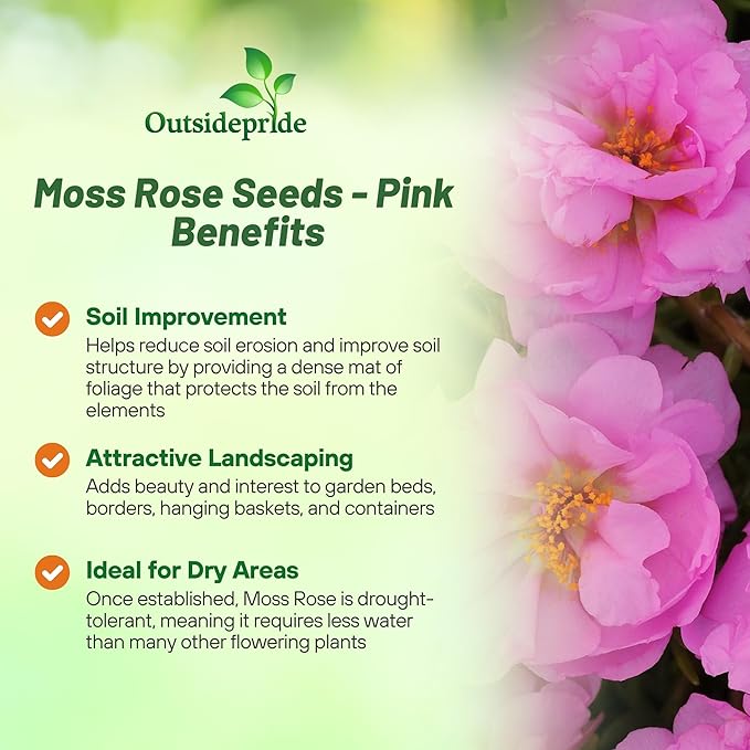 Outsidepride Pink Moss Rose Seeds - 5000 Pcs Annual, Drought & Heat Tolerant, Pollinator Friendly Ground Cover Seeds for Planting w/Vibrant Blooms & Succulent Foliage, Ideal for Xeriscaping