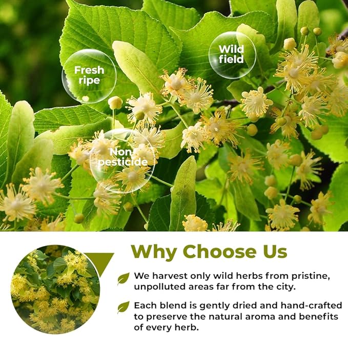 100 Bags Linden Tea Dried Linden Flower Tea Herbal (Tilia Cordata) - 100 Count 1.5g Bags Herb Lipa