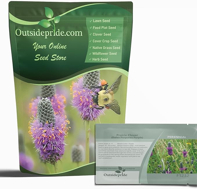 Outsidepride Purple Prairie Clover Seeds - 1 lb. Perennial Seeds for Planting, Easy to Grow, Drought & Heat Tolerant, High Protein Forage for Livestock, Ideal for Meadow Gardens, & Xeriscaping