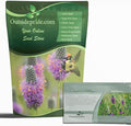 Outsidepride Purple Prairie Clover Seeds - 1 lb. Perennial Seeds for Planting, Easy to Grow, Drought & Heat Tolerant, High Protein Forage for Livestock, Ideal for Meadow Gardens, & Xeriscaping