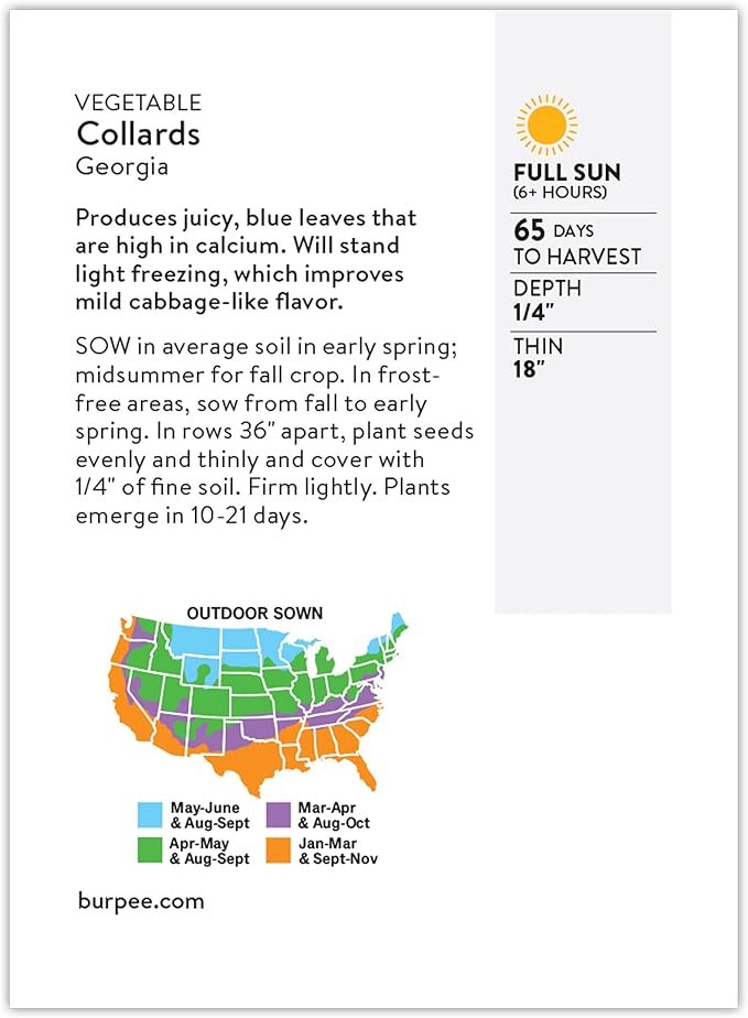 Burpee Georgia Collards Seeds - Heirloom Southern Cooking Greens
