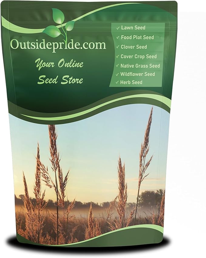 Outsidepride Perennial Andropogon Big Bluestem Grass Seed - 25 lbs. Warm Season, Drought Resistant, Native Prairie Grass Seed, Ideal for Erosion Control, Ornamental Landscaping & Wildlife Gardens