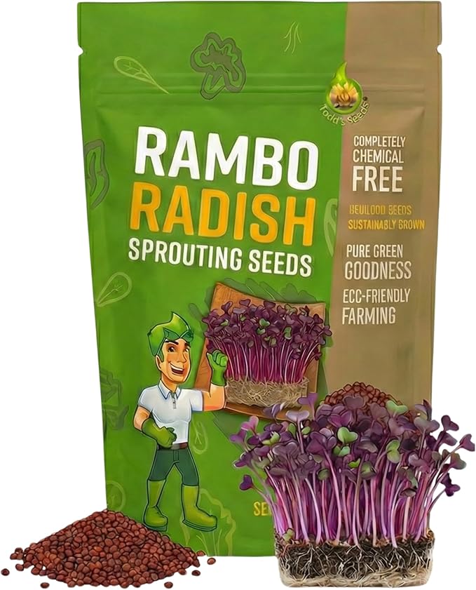 Todd's Seeds Rambo Sprouting Radish Seeds - Beautiful Red/Purple Colored Sprout, Non-GMO, Chemical Free, High Germination (One Pound)