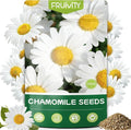 2300+ German Chamomile Seed Pack, Non GMO Heirloom Seeds for Planting, Herb Seed to Plant, Easy to Grow, High Germination, for Home Garden Indoor Outdoor