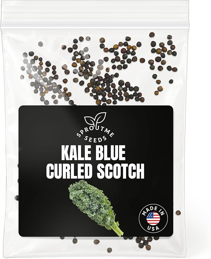 Fall & Winter Kale Blue Curled Seeds for Indoor & Outdoor Planting – 500+ Non-GMO Heirloom Leafy Salad Green, High Germination (Brassica oleracea)