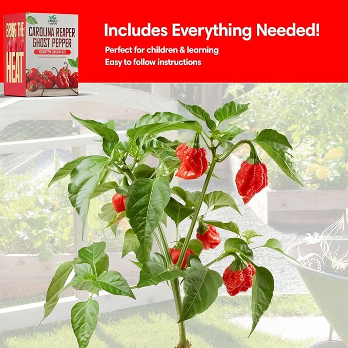 Carolina Reaper Ghost Pepper Grow Kit - All in One Starter Grow Kit - Bhut Jolokia Reaper Seeds, Grow The Hottest Peppers Garden Grow Kit Seeds Included