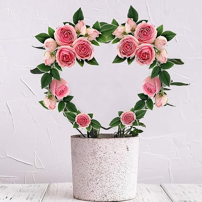 2 PCS Heart Shaped Plant Trellis Indoor with 100 Plant Twist Tie, Iron Heart Trellis for Indoor Climbing Plants Vine Stem Support Hearts Wire, Houseplant Hearts Trellis for Potted Plants