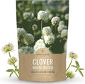 White Dutch Clover - Bulk 1 Pound Pouch - 600,000 Flower Seeds for Planting - Trifolium repens