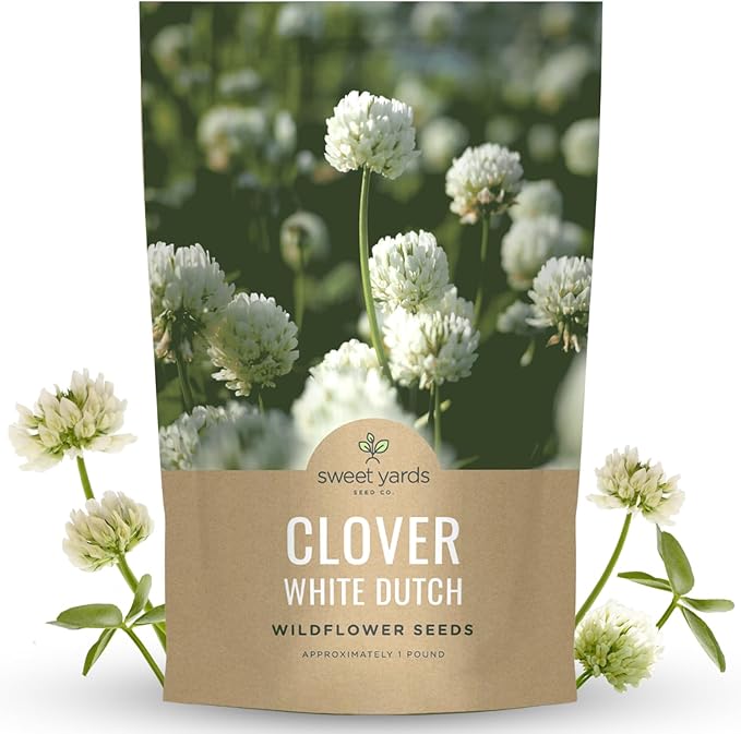 White Dutch Clover - Bulk 1 Pound Pouch - 600,000 Flower Seeds for Planting - Trifolium repens