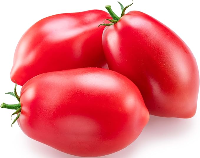 300+ Roma Tomato Seeds - Heirloom Non-GMO USA Grown Premium Seeds for Planting by RDR Seeds