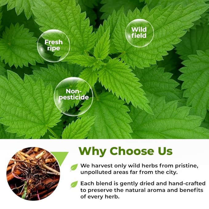 4 oz. Nettle Root Dried Stinging Herbal Tea - 113g Stinging Nettle Root Herb Tea Raíz De Ortiga