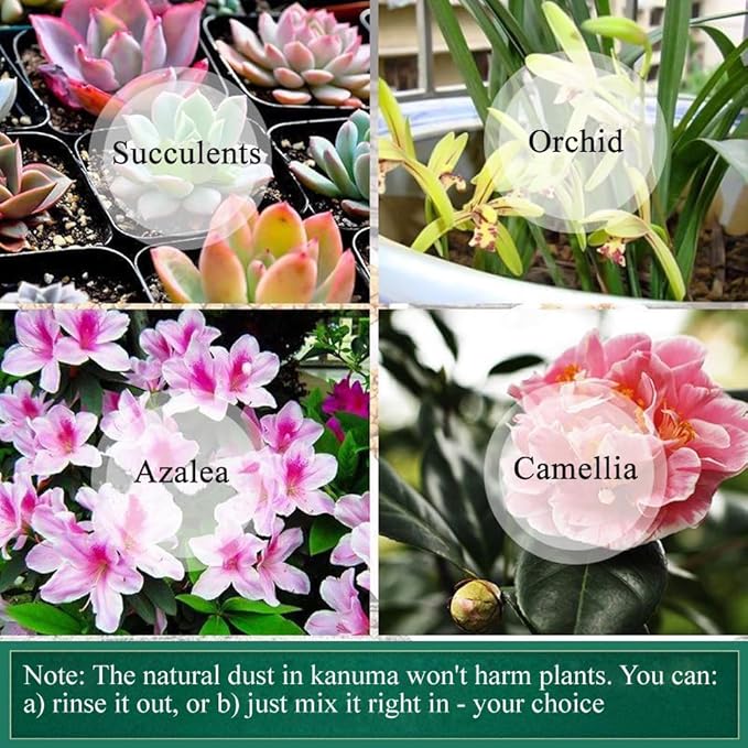 2lb Japanese Kanuma Soil 1/8-1/4 inch(3-6mm) Small Grain for Acid-Loving Plants - Ideal for Bonsai, Azaleas, Hydrangeas & Blueberries,Succulent - Fast Drainage, PH Balanced (Natural, No Additives)