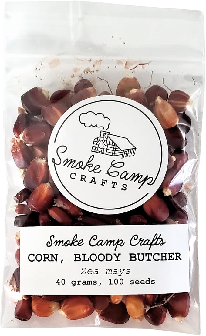 Organic Bloody Butcher Grinding Corn Seeds (Zea mays) 100 Seeds (40 g) - Heirloom Corn Seed Grown in West Virginia by Smoke Camp Crafts
