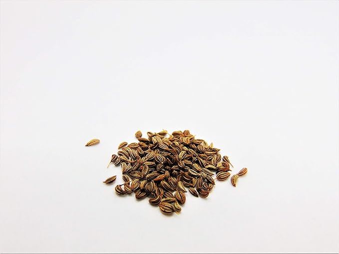 Joyous Jiffy "Herb" Collection #2-(2) Round 3x3 Jiffy pots,(2)Soil Peat Pellets(1)25+ Cilantro Seed pk(1)25+ Italian Large Leaf Basil Seed pk(1)25+ Italian Dk Green Parsley seed pk(1)25+ Thyme Seed pk