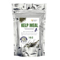 Gulf of Maine, Inc. Wild-Harvest Kelp Meal - Plant Food with Seaweed (Ascophyllum nodosum), Potassium and Trace Minerals 1-0.1-2, 0.5 lb (1 Lb)
